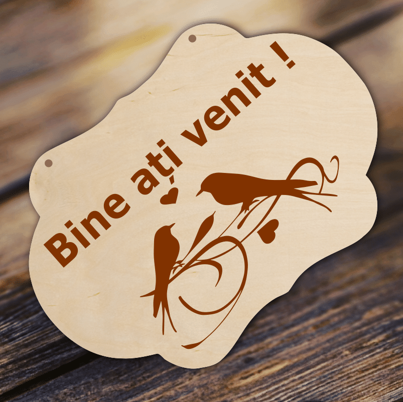 Placuta Bine ati Venit Model Pasari