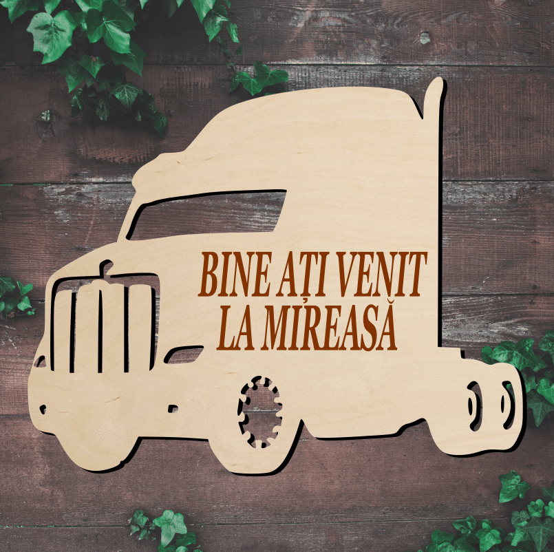 Placuta Bine ati Venit, Model Camion - imagine 2