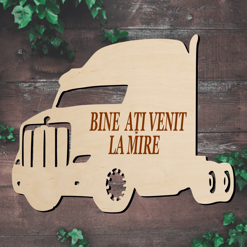 Placuta Bine ati Venit, Model Camion