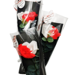 Trandafir bicolor, Martisor, Cadou 1-8 Martie