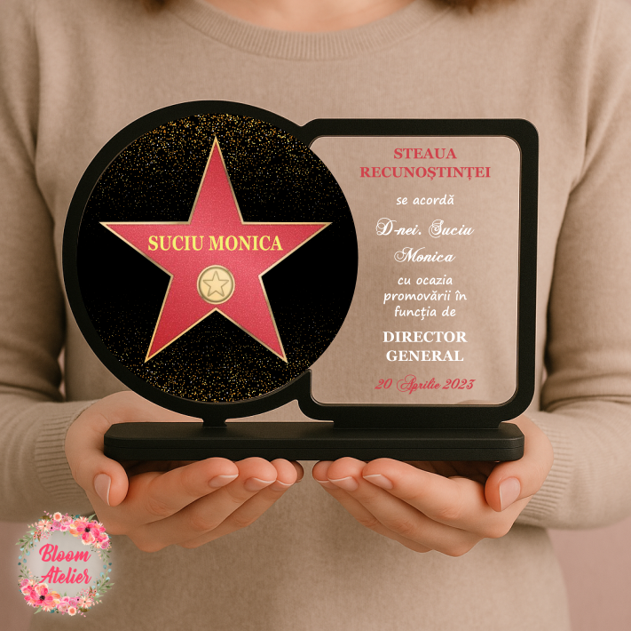 Placuta Trofeu, Cadou Apreciere, Diploma Promovare, Steaua Recunostintei