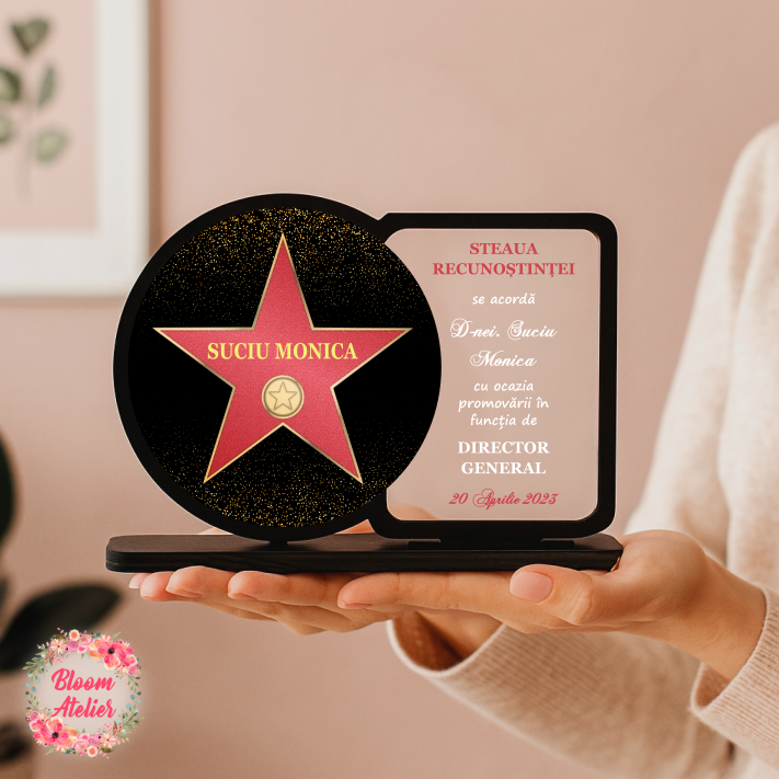 Placuta Trofeu, Cadou Apreciere, Diploma Promovare, Steaua Recunostintei - imagine 3