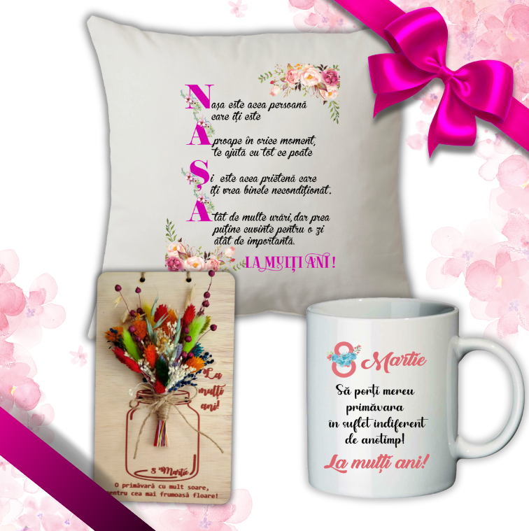 Set cadou 8 Martie Nasa, Tablou flori uscate + Perna + Cana