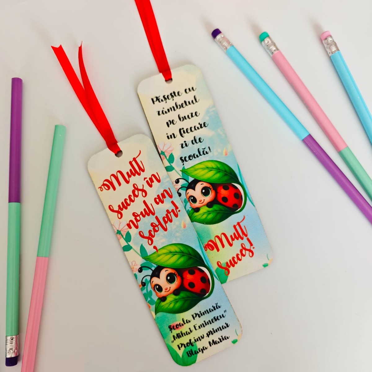 Semn carte lemn personalizat Grupa Buburuzelor