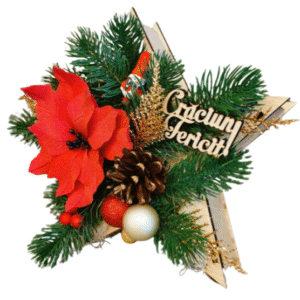 Aranjamente Craciun